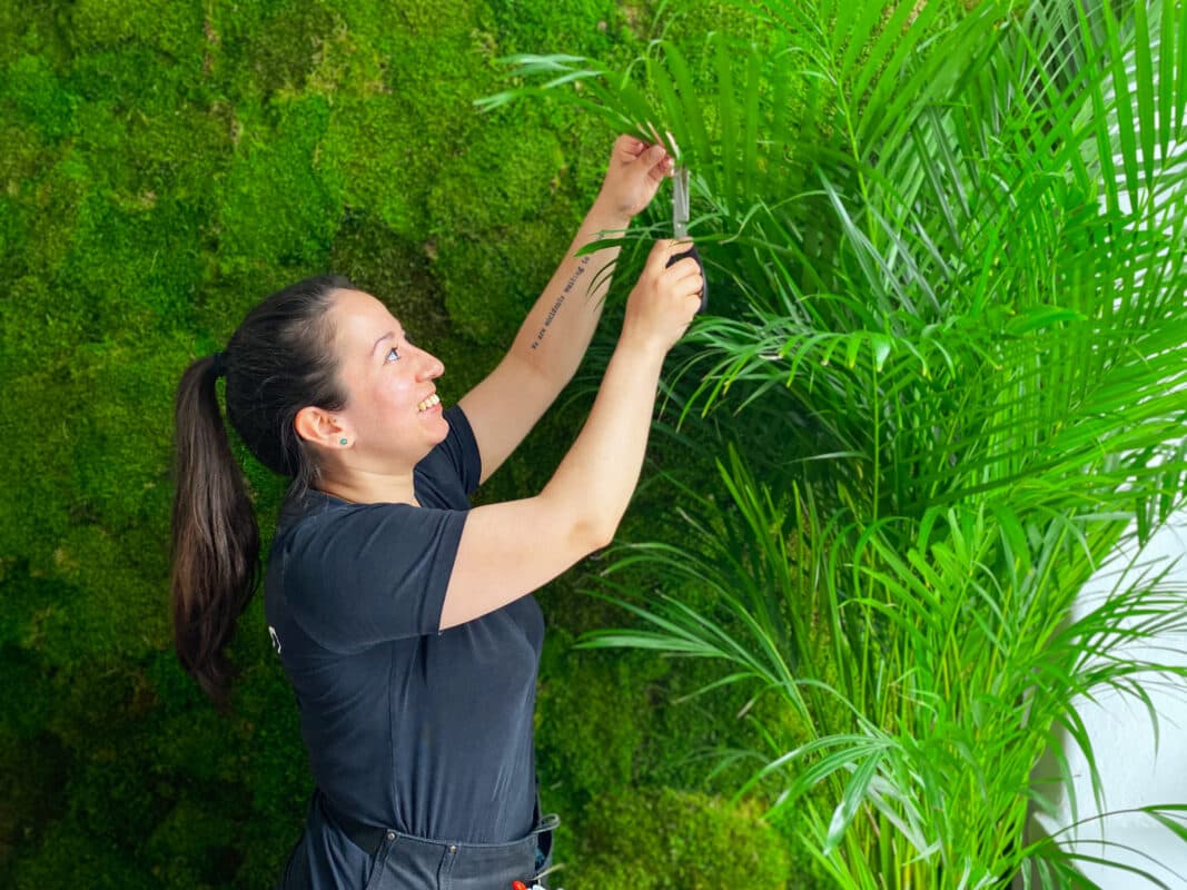 employee image Kukka